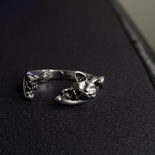 Ring Katt
