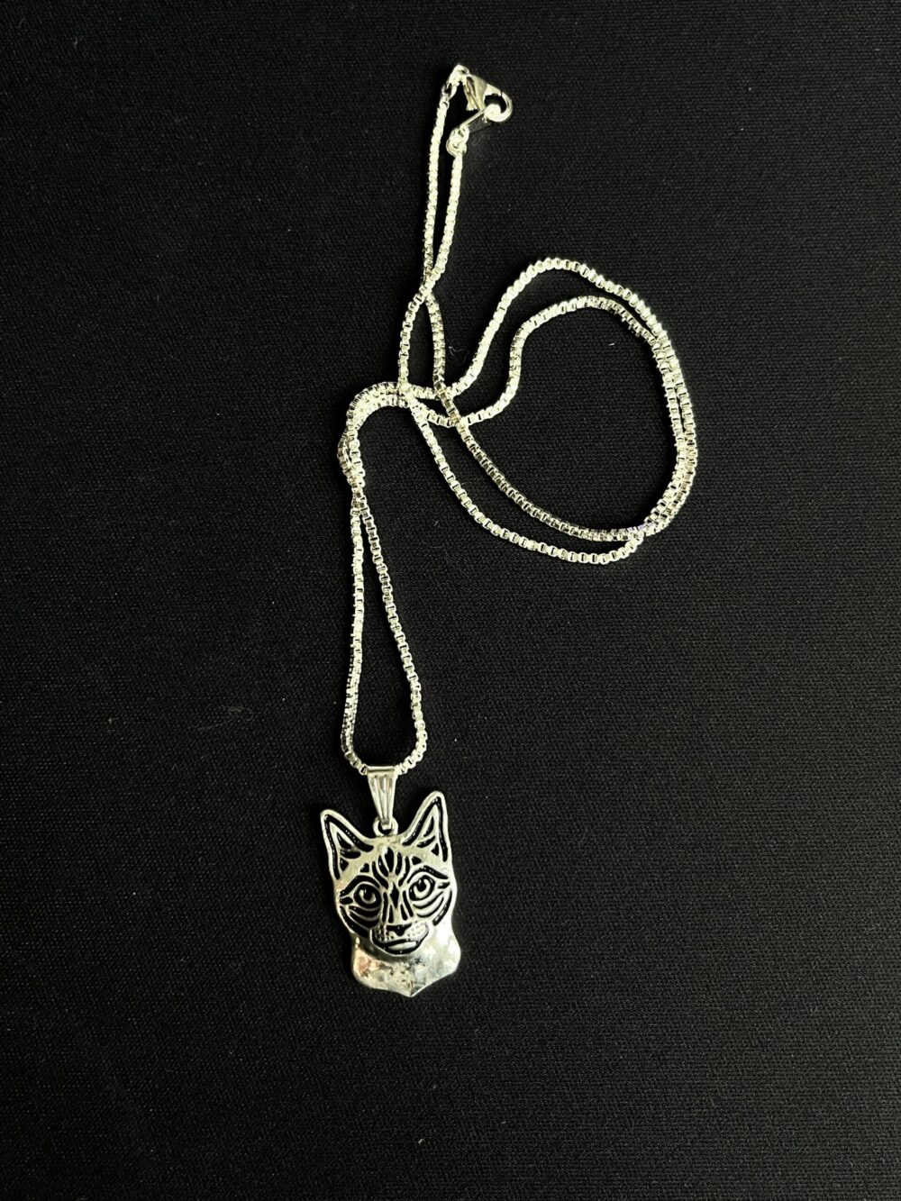 Halsband Katt