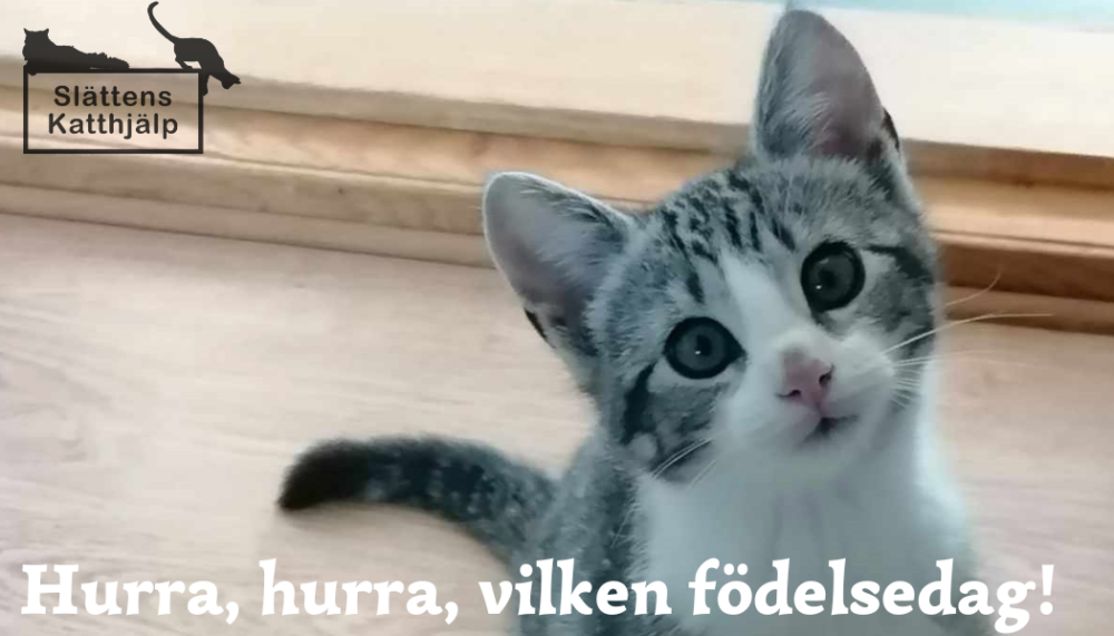Födelsedag