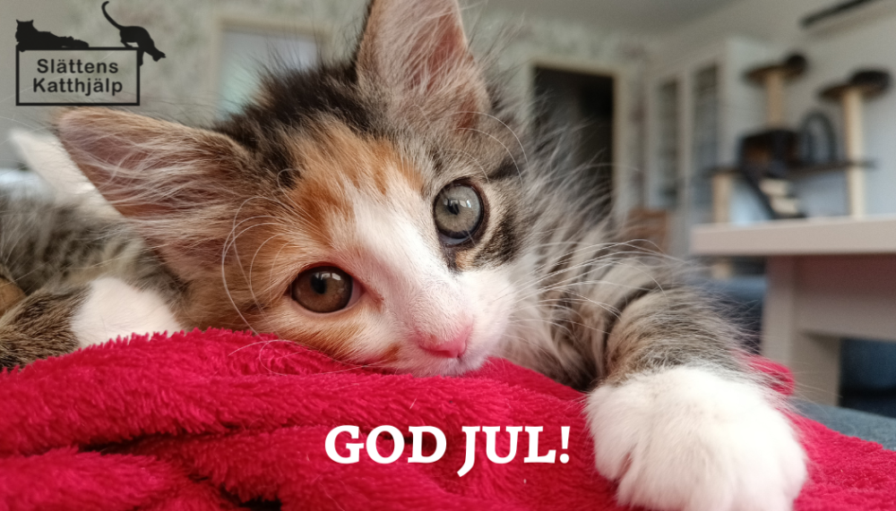 God Jul!