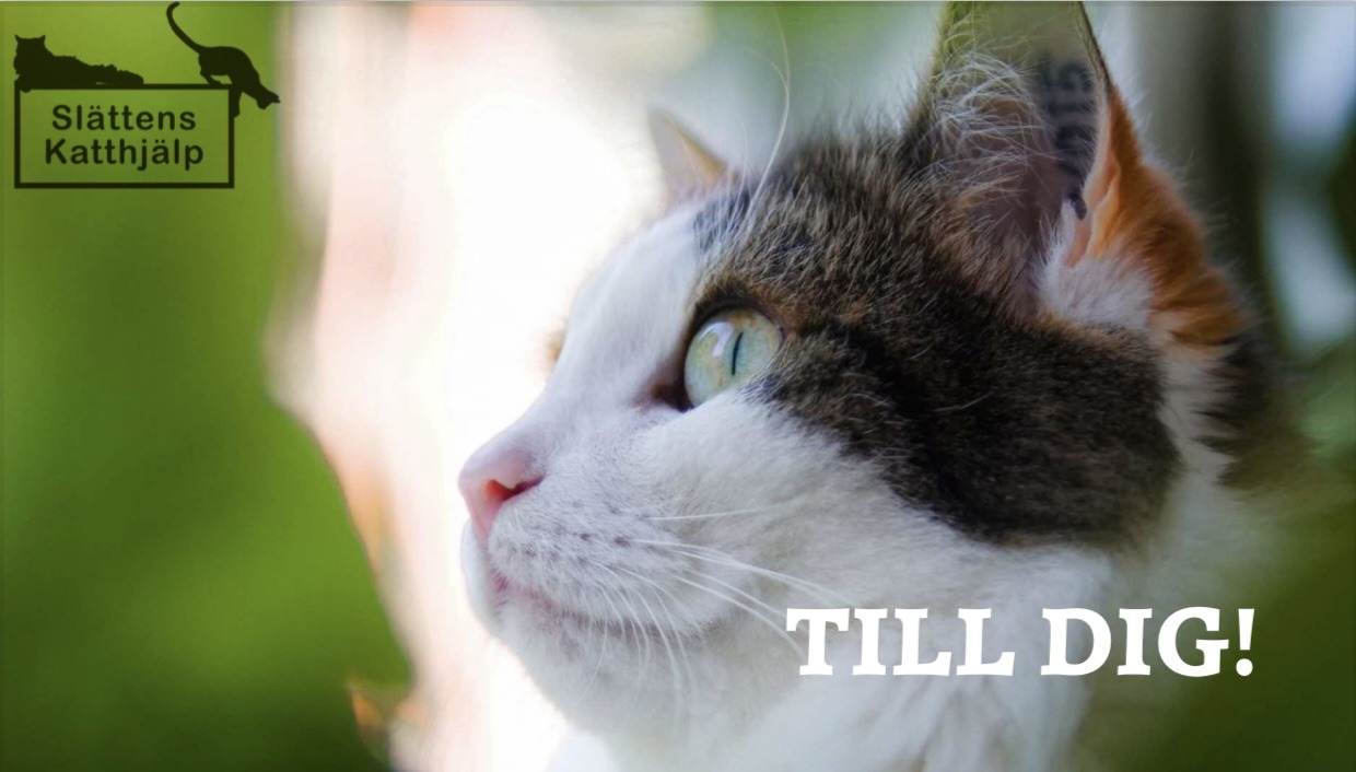 Till dig!