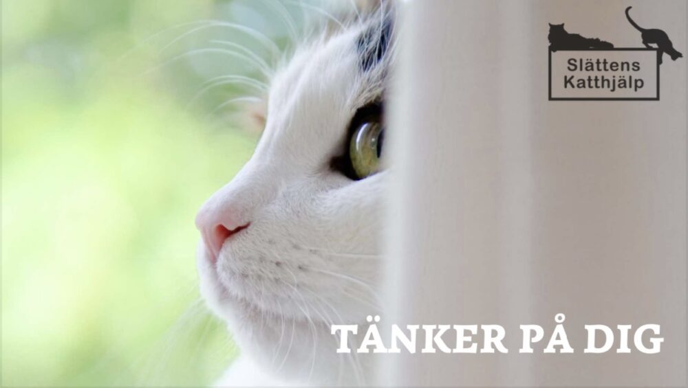 Tänker på dig!