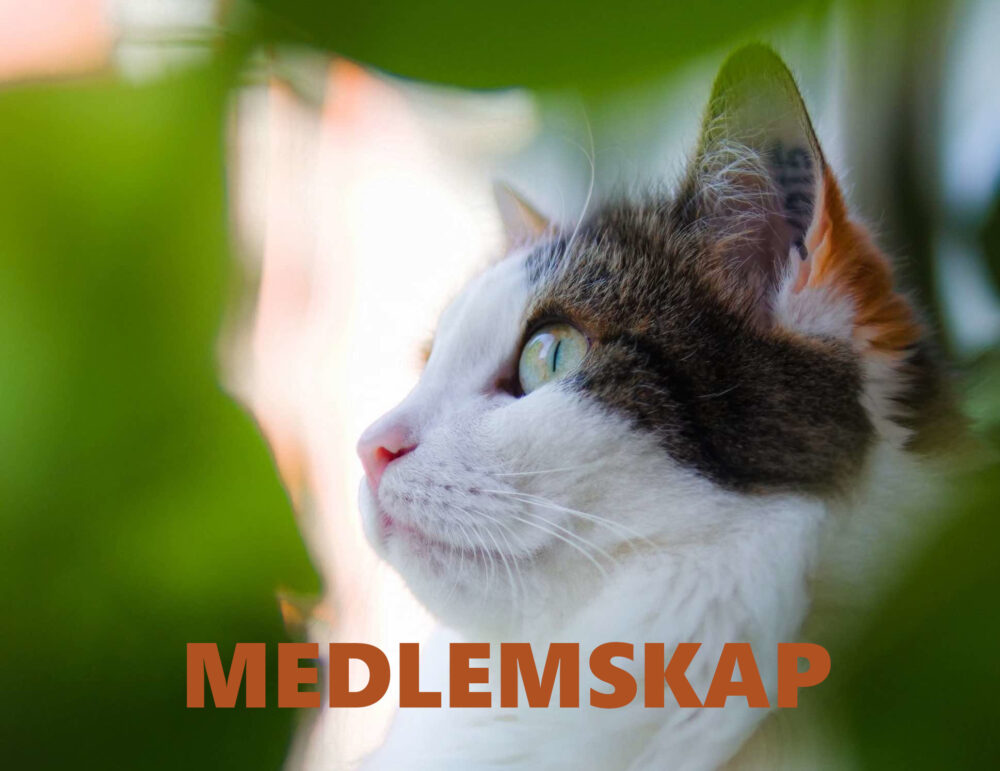 Medlemskap 2025