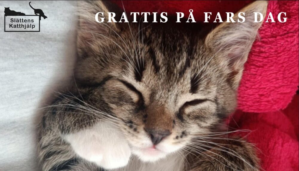 Fars dag