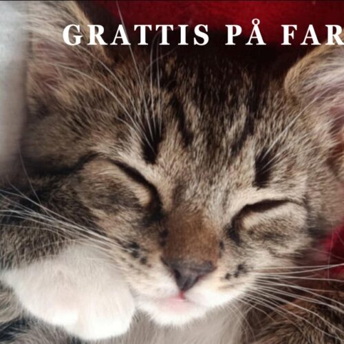 Fars dag