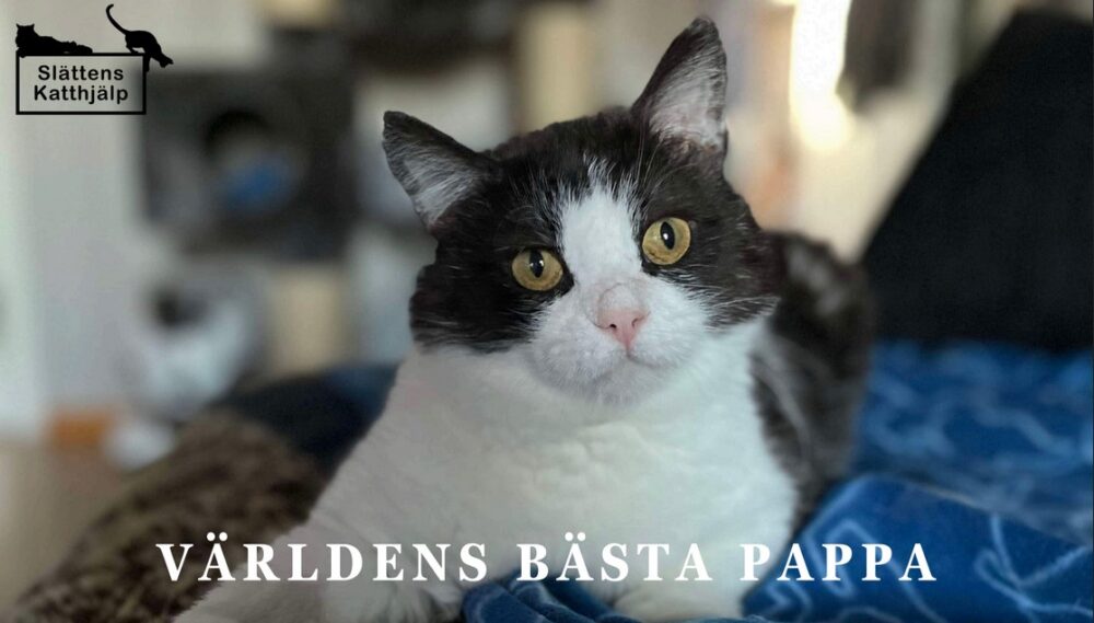 Världens bästa pappa